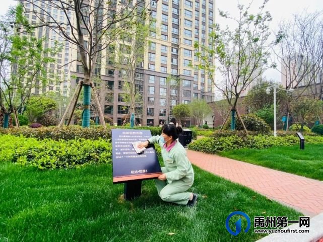 禹州恒达熙郡城芯小花园惊艳亮相!美美美美美出天际!! 禹州恒达熙郡城芯小花园惊艳亮相!美美美美美出天际!!