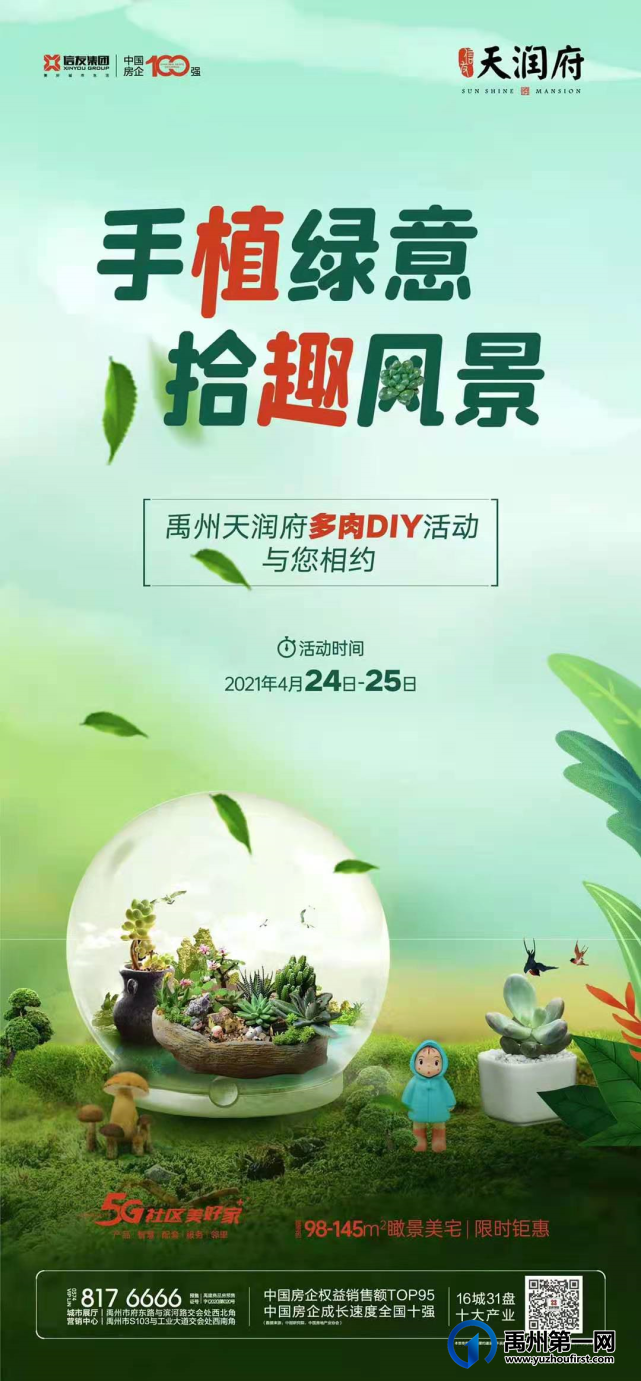 禹州天润府多肉DIY周末开启
