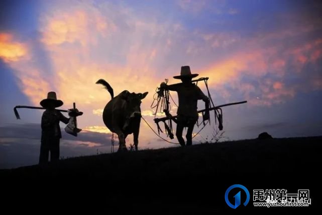 禹州鸠山镇第四届槐花采摘文化旅游节4月28日隆重开幕啦 禹州鸠山镇第四届槐花采摘文化旅游节4月28日隆重开幕啦