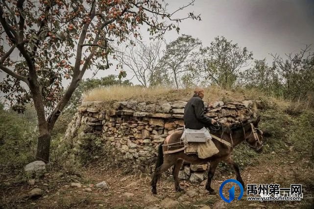 禹州鸠山镇第四届槐花采摘文化旅游节4月28日隆重开幕啦 禹州鸠山镇第四届槐花采摘文化旅游节4月28日隆重开幕啦
