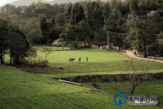 禹州鸠山镇第四届槐花采摘文化旅游节4月28日隆重开幕啦 禹州鸠山镇第四届槐花采摘文化旅游节4月28日隆重开幕啦