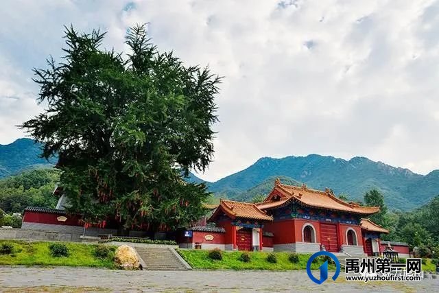 禹州鸠山镇第四届槐花采摘文化旅游节4月28日隆重开幕啦 禹州鸠山镇第四届槐花采摘文化旅游节4月28日隆重开幕啦