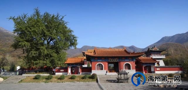 2021年度禹州市鸠山镇第四届槐花文化旅游节4月28日开幕,一起去耍吧 2021年度禹州市鸠山镇第四届槐花文化旅游节4月28日开幕,一起去耍吧