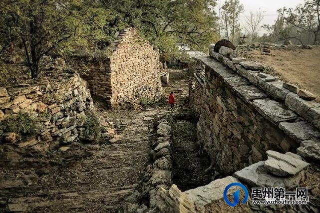 2021年度禹州市鸠山镇第四届槐花文化旅游节4月28日开幕,一起去耍吧 2021年度禹州市鸠山镇第四届槐花文化旅游节4月28日开幕,一起去耍吧