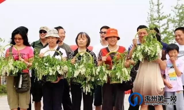 2021年度禹州市鸠山镇第四届槐花文化旅游节4月28日开幕,一起去耍吧 2021年度禹州市鸠山镇第四届槐花文化旅游节4月28日开幕,一起去耍吧