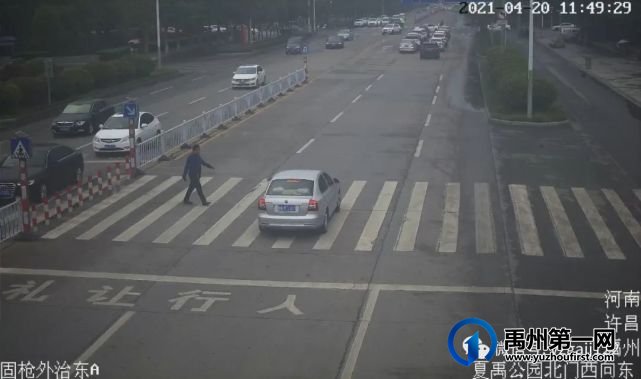 禹州再曝光一批机动车不礼让行人现象 禹州再曝光一批机动车不礼让行人现象