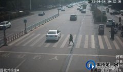 禹州再曝光一批机动车不礼让行人现象