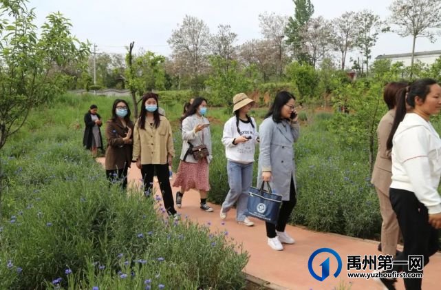 禹州市开展“脱贫攻坚”网友采风活动”!就在鸿畅.... 禹州市开展“脱贫攻坚”网友采风活动”!就在鸿畅....
