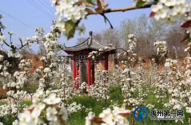 五一小长假千万别错过禹州这个地方 五一小长假千万别错过禹州这个地方