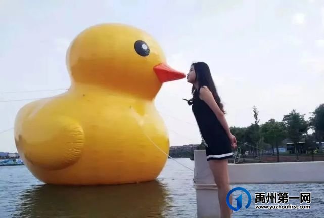 五·一大鸿寨万花风铃节 五·一大鸿寨万花风铃节