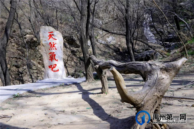快看!禹州五一又有一个好玩的地方~ 快看!禹州五一又有一个好玩的地方~