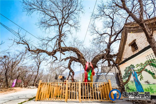 快看!禹州五一又有一个好玩的地方~ 快看!禹州五一又有一个好玩的地方~