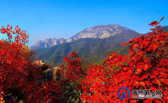 禹州市将创建“一心一核二带四区”文旅新格局 禹州市将创建“一心一核二带四区”文旅新格局