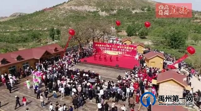 火了!8.43万人围观的禹州直播是什么场面? 火了!8.43万人围观的禹州直播是什么场面?
