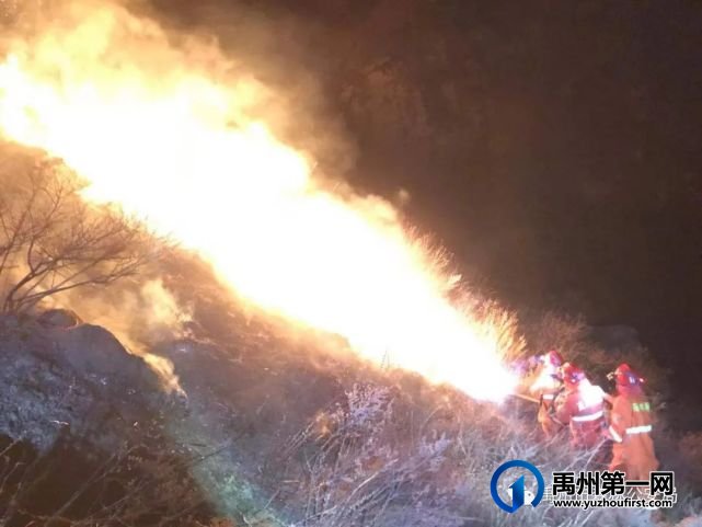 禹州市森林公安局弘扬五四精神 奉献火热青春 禹州市森林公安局弘扬五四精神 奉献火热青春