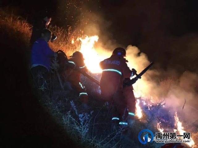 禹州市森林公安局弘扬五四精神 奉献火热青春 禹州市森林公安局弘扬五四精神 奉献火热青春