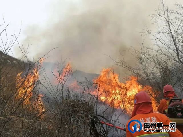 禹州市森林公安局弘扬五四精神 奉献火热青春 禹州市森林公安局弘扬五四精神 奉献火热青春
