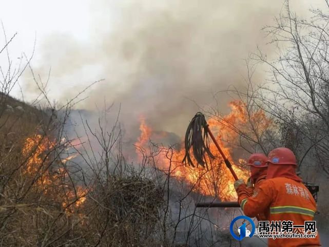 禹州市森林公安局弘扬五四精神 奉献火热青春 禹州市森林公安局弘扬五四精神 奉献火热青春