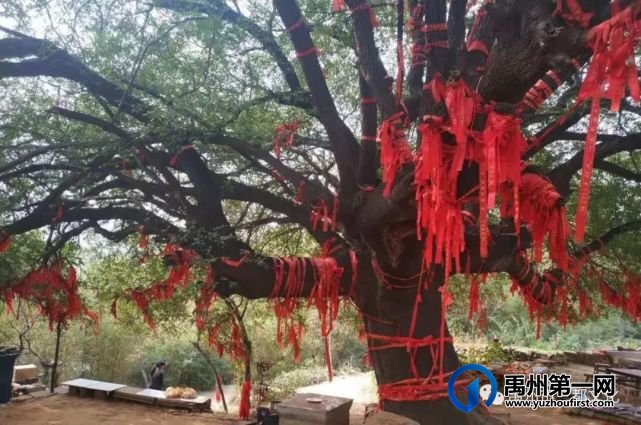 美丽黄沟忆乡愁 美丽黄沟忆乡愁