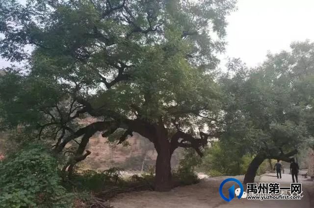 美丽黄沟忆乡愁 美丽黄沟忆乡愁