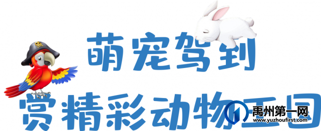 场场爆满,燃爆禹州!绿城蘭亭马戏团活动完美落幕! 场场爆满,燃爆禹州!绿城蘭亭马戏团活动完美落幕!