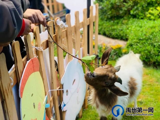 场场爆满,燃爆禹州!绿城蘭亭马戏团活动完美落幕! 场场爆满,燃爆禹州!绿城蘭亭马戏团活动完美落幕!