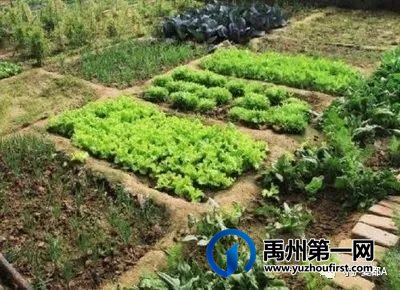 两起“纠纷”,禹州苌庄、浅井处理的咋都恁好哩! 两起“纠纷”,禹州苌庄、浅井处理的咋都恁好哩!
