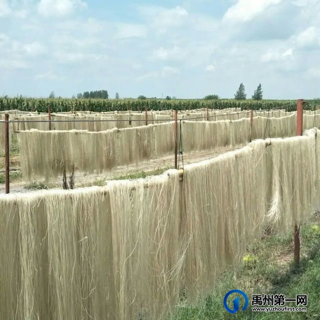 禹州最新“十四五规划”曝光!农村有房有地的恭喜了! 禹州最新“十四五规划”曝光!农村有房有地的恭喜了!