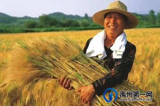 禹州最新“十四五规划”曝光!农村有房有地的恭喜了! 禹州最新“十四五规划”曝光!农村有房有地的恭喜了!