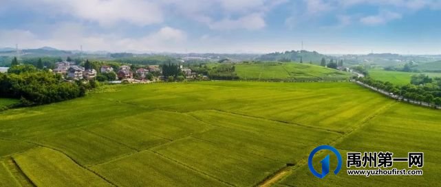 禹州最新“十四五规划”曝光!农村有房有地的恭喜了! 禹州最新“十四五规划”曝光!农村有房有地的恭喜了!