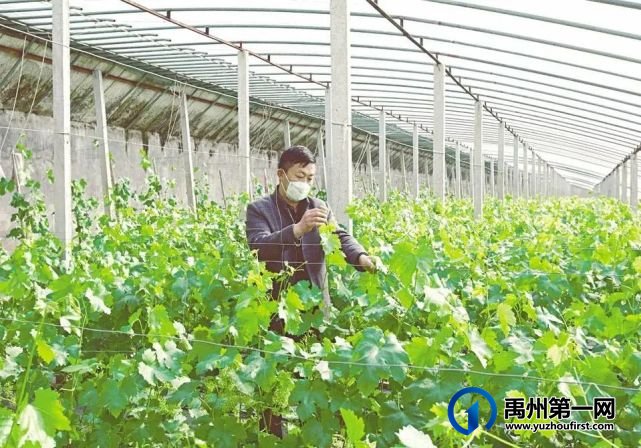 禹州最新“十四五规划”曝光!农村有房有地的恭喜了! 禹州最新“十四五规划”曝光!农村有房有地的恭喜了!