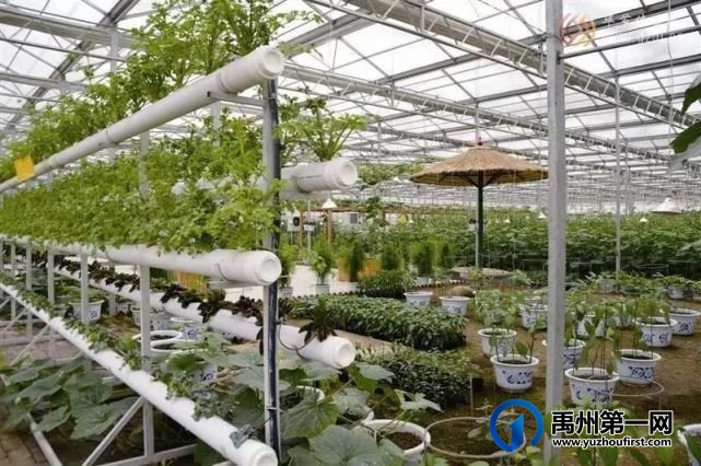 禹州最新“十四五规划”曝光!农村有房有地的恭喜了! 禹州最新“十四五规划”曝光!农村有房有地的恭喜了!