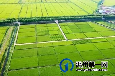 禹州最新“十四五规划”曝光!农村有房有地的恭喜了! 禹州最新“十四五规划”曝光!农村有房有地的恭喜了!