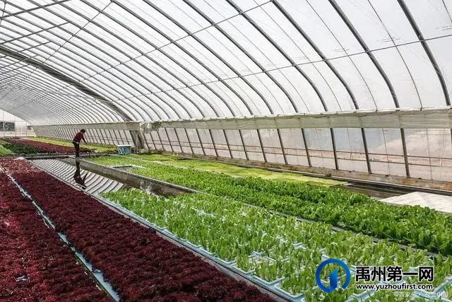 禹州最新“十四五规划”曝光!农村有房有地的恭喜了! 禹州最新“十四五规划”曝光!农村有房有地的恭喜了!