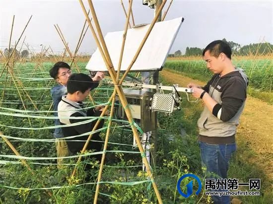 禹州最新“十四五规划”曝光!农村有房有地的恭喜了! 禹州最新“十四五规划”曝光!农村有房有地的恭喜了!