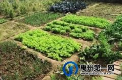 禹州两起“纠纷”，苌庄、浅井处理的咋都恁好哩！