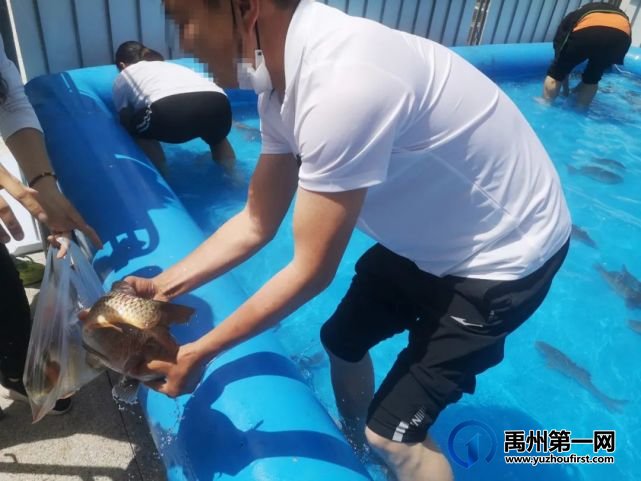 禹州润泓钧樾府捕鱼达人,嗨玩清凉一夏 禹州润泓钧樾府捕鱼达人,嗨玩清凉一夏