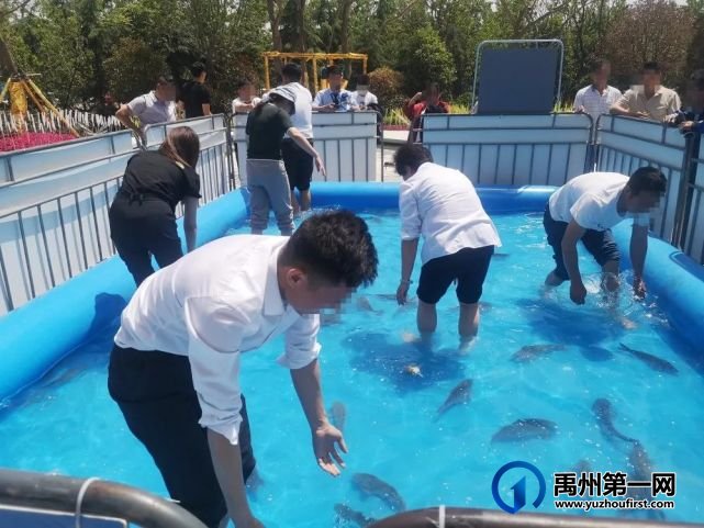 禹州润泓钧樾府捕鱼达人,嗨玩清凉一夏 禹州润泓钧樾府捕鱼达人,嗨玩清凉一夏