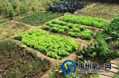 禹州两起“纠纷”,苌庄、浅井处理的咋都恁好哩! 禹州两起“纠纷”,苌庄、浅井处理的咋都恁好哩!