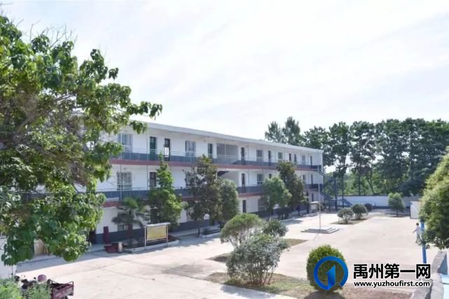 禹州南区学校教师招聘公告 禹州南区学校教师招聘公告