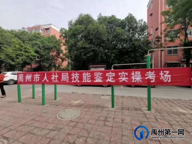 禹州和谐社区居民乐开了花,因为他们品尝到了甜蜜的“橙果” 禹州和谐社区居民乐开了花,因为他们品尝到了甜蜜的“橙果”
