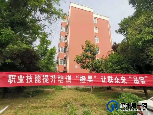 禹州和谐社区居民乐开了花,因为他们品尝到了甜蜜的“橙果” 禹州和谐社区居民乐开了花,因为他们品尝到了甜蜜的“橙果”