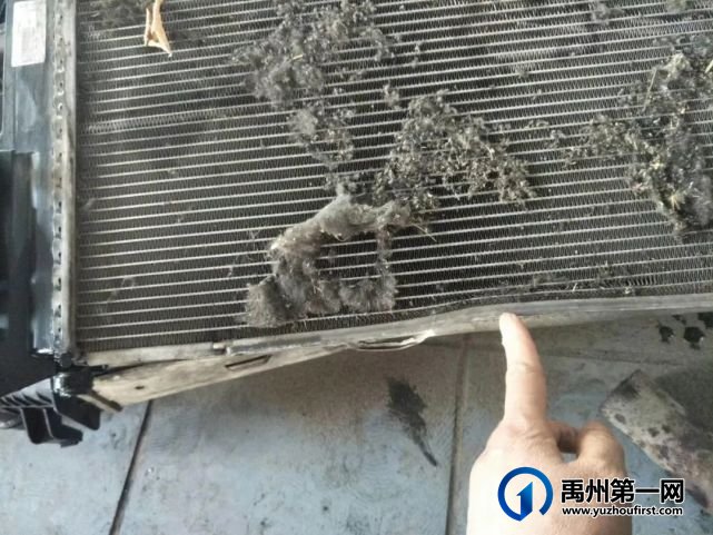 倒计时2天!禹州车主的福音来了!马上开始实施..... 倒计时2天!禹州车主的福音来了!马上开始实施.....
