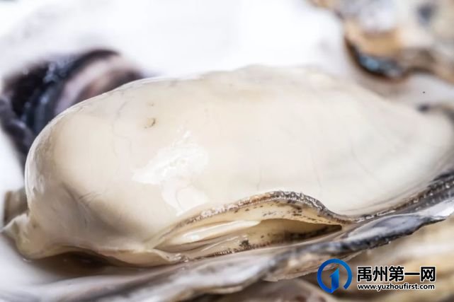 禹州这家星级海鲜烧烤,小龙虾每天免费送!地址在… 禹州这家星级海鲜烧烤,小龙虾每天免费送!地址在…