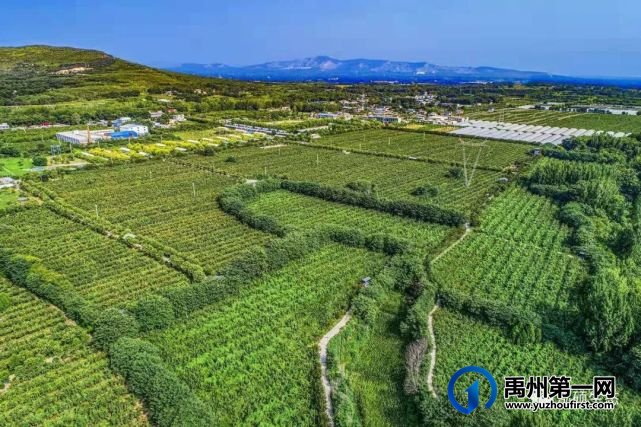 禹州泓硕农业400亩樱桃园即将开园,快来尝鲜吧! 禹州泓硕农业400亩樱桃园即将开园,快来尝鲜吧!