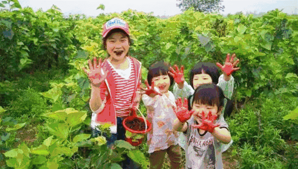5月22日禹州无梁镇第二届具茨山老山坪金杏采摘 5月22日禹州无梁镇第二届具茨山老山坪金杏采摘