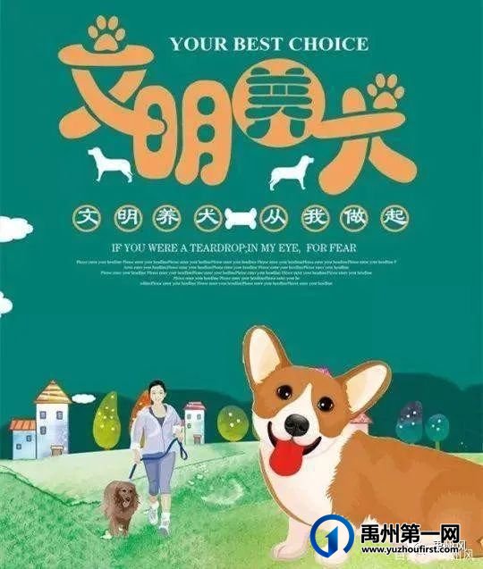 禹州市城管局文明养犬倡议书 禹州市城管局文明养犬倡议书