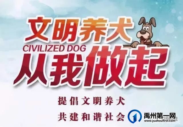 禹州市城管局文明养犬倡议书 禹州市城管局文明养犬倡议书