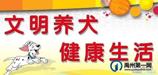 禹州市城管局文明养犬倡议书 禹州市城管局文明养犬倡议书