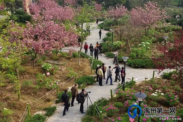 禹州一小学校园里驻扎着一座古建筑,咋回事? 禹州一小学校园里驻扎着一座古建筑,咋回事?
